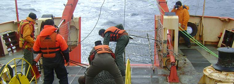 Tareas a bordo del Buque ARA Puerto Deseado